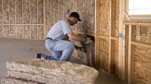 Best Eco-Friendly or Green Insulation Solutions in Brownsville, FL