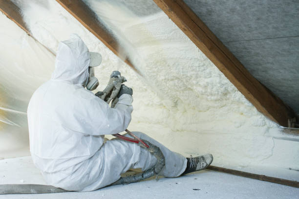 Best Thermal Imaging for Insulation Gaps in Brownsville, FL